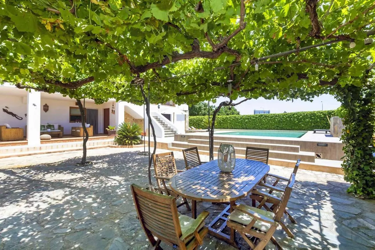 Huerta Villa San Antonio