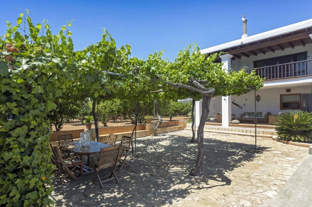Huerta Villa San Antonio